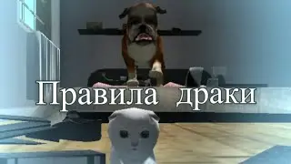 Сражайся ПРАВИЛЬНО! Устав Единых правил для драк в Симуляторе Кошки 2015! Cat Simulator 2015 FIGHTS