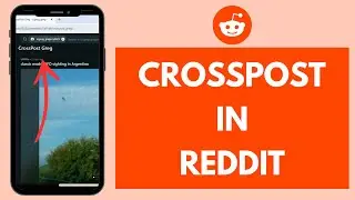 How to Crosspost on Reddit App (2024)