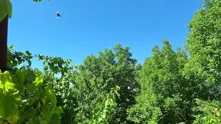 Весеннее настроение. Вязаные сумочки.
