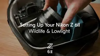 Nikon School tips: How to set up the Nikon Z 6II | Testing for Wildlife & Lowlight photography