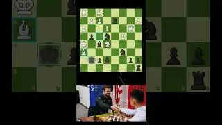 Бессмертная партия Дин Лижэня