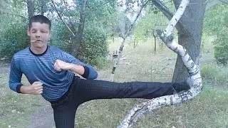 НОВЫЙ ВИД ТРОЛЛИНГА Пираний бомбит