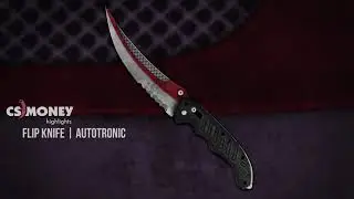 CS:GO | Flip Knife -  Autotronic