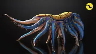 What Was Life Like During The Cambrian Period?