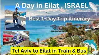 Tel Aviv to Eilat by Train and Bus ✨🔥 A Day in Eilat Israel