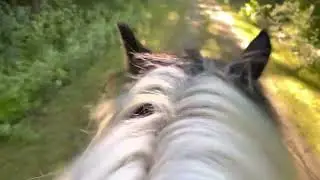 No Ads Soft Music Meditation Riding horses in nature relaxing horses running 