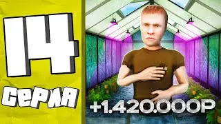 МИЛЛИОНЫ ЗА ЧАС на ОГОРОДАХ🤑ПУТЬ БОМЖА в GTA RADMIR RP #14