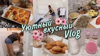 МОТИВАЦИЯ НА УБОРКУ🧼 • ВКУСНАЯ ЗАПЕКАНКА • УЮТ И ПОРЯДОК В ДОМЕ💗 • НОВАЯ ПОСУДА🐰• Taisia S