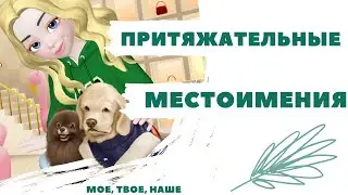 Притяжательные местоимения. Английская грамматика