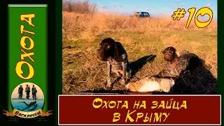 Охота на зайца.  Новый Бекас-Авто ВПО 201 М