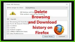 How to Delete Browsing and Download History on Firefox?