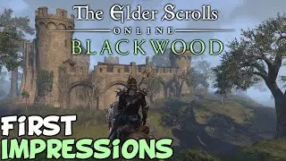 ESO in 2021 First Impressions Is It Worth Playing?