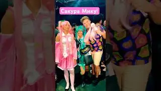 Hatsune Miku Polka Feria Mundo Anime Santo Domingo