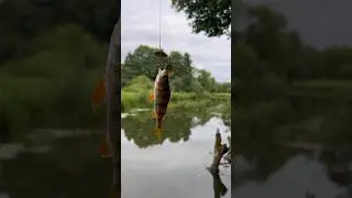 Часть 3. Поход на Дрозды номер 2 #врек #рилс #рыбалка #fishing #rec #shortvideo #shorts #fish