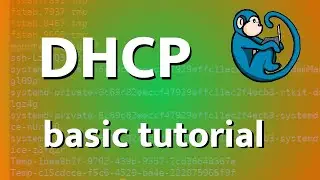 Dynamic Host Configuration Protocol (DHCP) basics tutorial