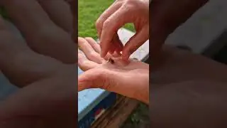 Почему в перчатках???