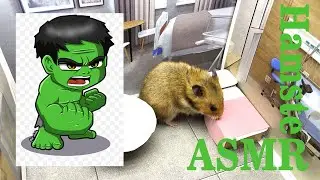 🔥 ASMR Hamster 10 Minutes From The Real Life