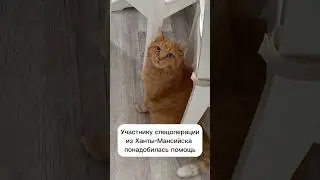 24 августа 2023 г.
