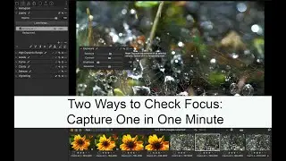 Two Ways to Check Focus: Capture One in One Minute