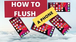 How to Flush a Phone