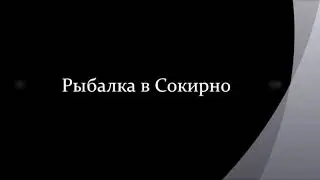 Рыбалка в Сокирно