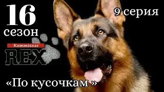 Комиссар Рекс, 16 сезон, 9 серия «По кусочкам »