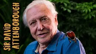 Сэр Дэвид Аттенборо (David Attenborough)