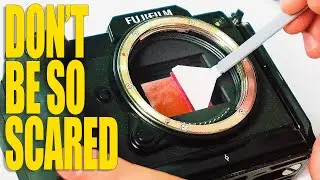 You’ve Never Cleaned Your Dirty CAMERA SENSOR?!?