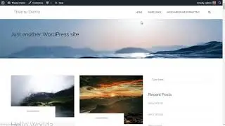 Shapely WordPress Theme Demo & Review