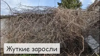 Избавляемся от зарослей кустов на нашем участке. Освобождаем двор. Вид сверху. Наш дом в Германии