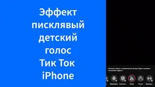 Писклявый детский голос в Тик Ток iPhone (TikTok) – как изменить голос