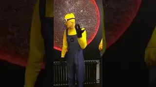 А4 Миньоны в реальной жизни