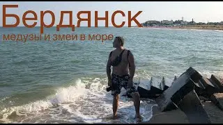 БЕРДЯНСК - город контрастов | Конюшня, Зоопарк Сафари, отель Холин Холл, медузы, змеи 2021