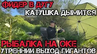 ФИДЕР в ДУГУ КАТУШКА ДЫМИТСЯ Рыбалка на ОКЕ Утренний ВЫХОД ГИГАНТОВ на ТОЧКУ