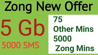 Zong Packages | Zong Internet | Call | SMS Weekly Package Code | FREE Codes