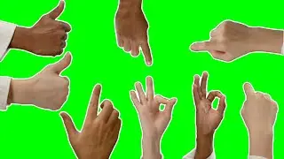 Green Screen Hand (No Copyright)