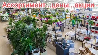 Садовый центр эпицентр
