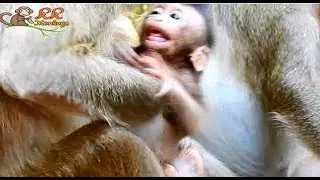 So Poor ! Baby Barbi cry loudly & verry sad cos mom| Julina cry seizure when angry mom .