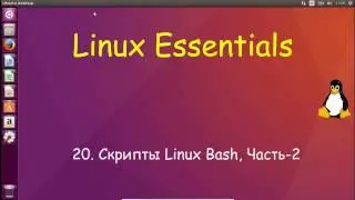 Linux для Начинающих - Скрипты Linux Bash, Часть-2