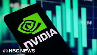 AI chip maker Nvidias huge rise sparks market frenzy