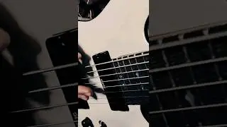 Фактор 2 красавица Metal cover