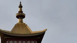 Пробуем калмыцкую кухню в Элисте