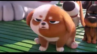 The Secret Life Of Pets 2 - Gidget - Queen of cats - Funny Moments