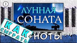 Лунная Соната На Пианино ОБУЧЕНИЕ + НОТЫ 🎹 Урок Для Начинающих