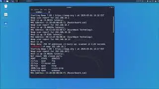 Основы работы с сетевым сканером Nmap в Kali Linux