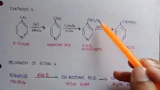 Isoniazid | synthesis of isoniazid | mechanism of action of isoniazid | Antitubercular drugs