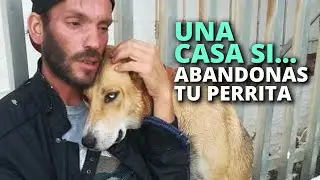 Vivía en la calle, le ofrecieron un hogar, la condición: abandonar a su perrita