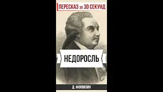 Недоросль. Пересказ за 30 секунд. 