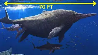 The Biggest Marine Reptile To Ever Live