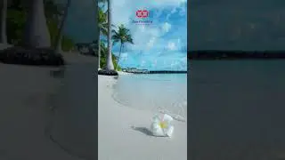 Слитный купальник с чашечками Fantasie Hope Bay, черно-синий. Новинка - единственный размер 80GG!